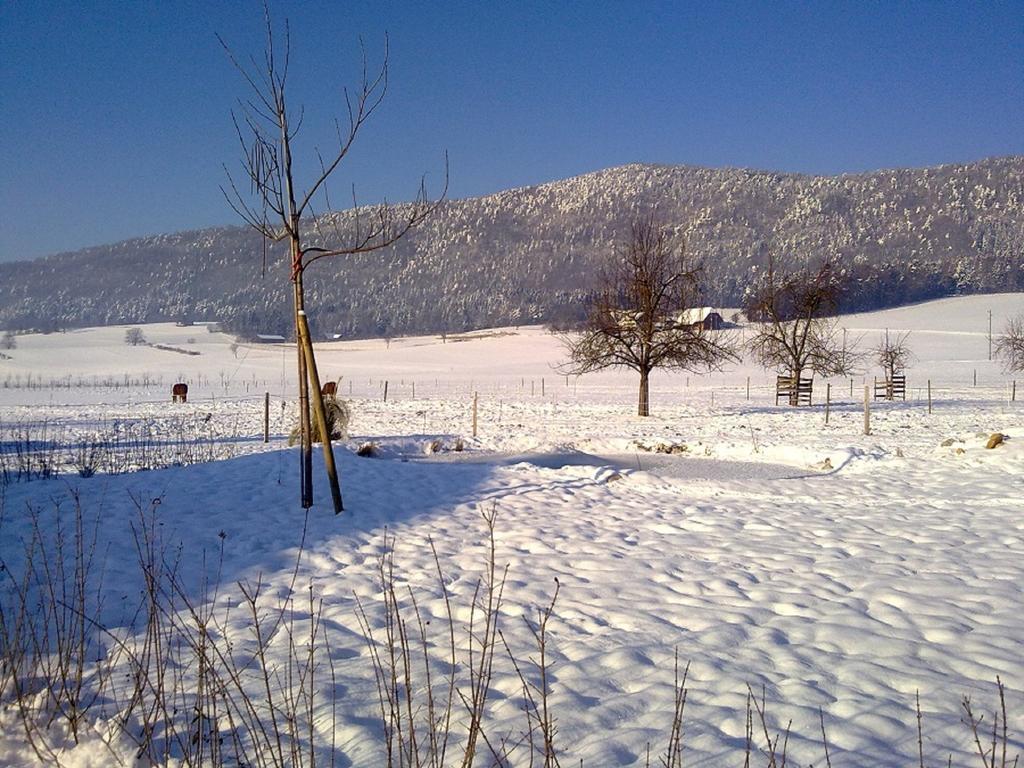 Hotel-Gite Rural A 3 Km De Delemont Courcelon Экстерьер фото